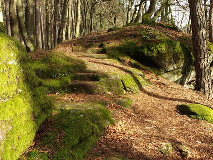 IMG 20190118 124726809